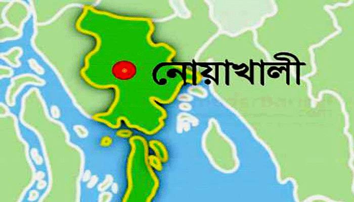 হাতিয়ায় পুলিশ পরিচয়ে দোকান লুট, আটক ৩