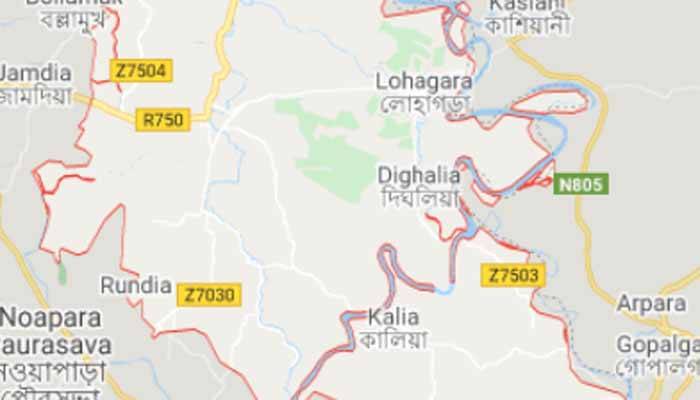 সরকারি চাল বাজারে, লোহাগড়ায়  ডিলার গ্রেপ্তার