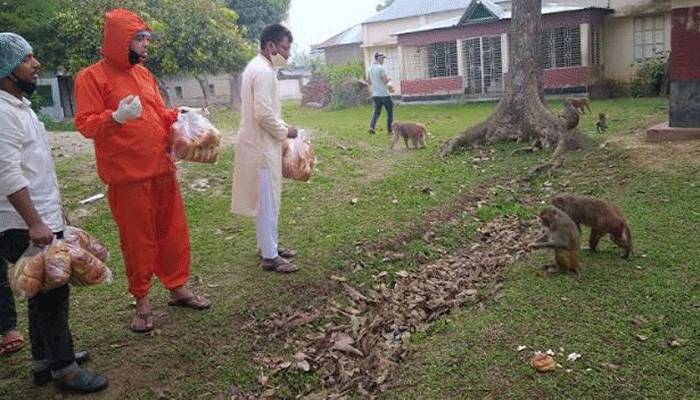 খাবার পেল অনাহারী ৫০০ বানর