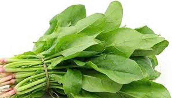 করোনা প্রতিরোধে উপকারী যেসব সবজি