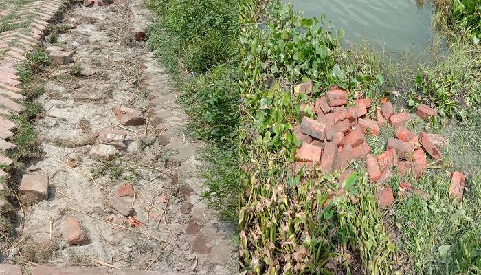 টুঙ্গিপাড়ায় রাস্তার ইট চুরি করতে গিয়ে ধরা
