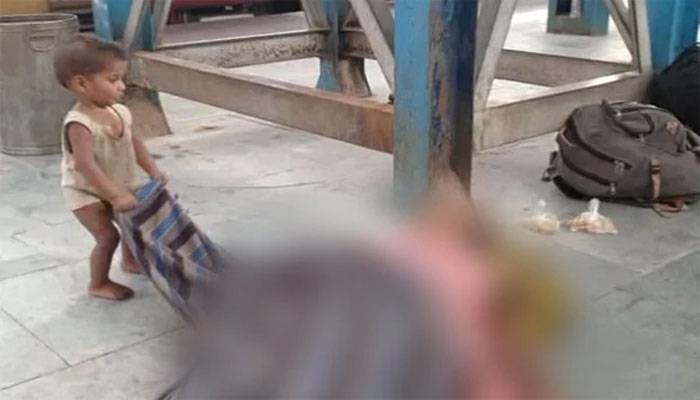 মৃত মাকে জাগাতে শিশুর আপ্রাণ চেষ্টা