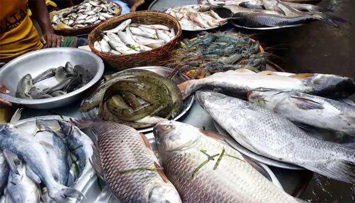 একদিনে ৭ কোটি ৭৩ লাখ টাকার মাছ বিক্রি