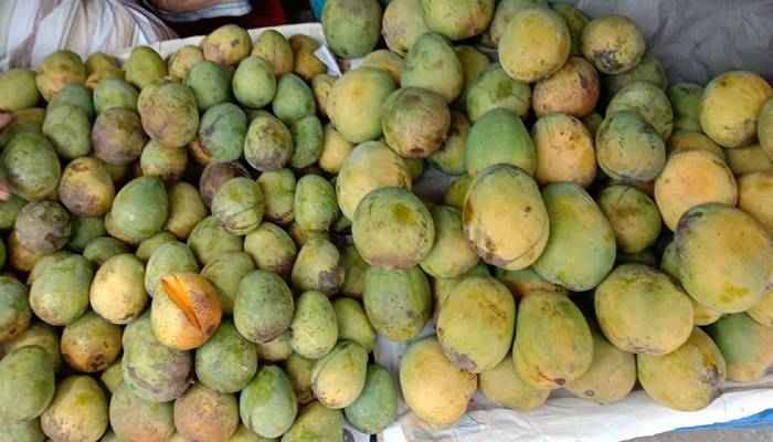 বগুড়ার বাজারে কেমিক্যালে পাকানো আমে সয়লাব