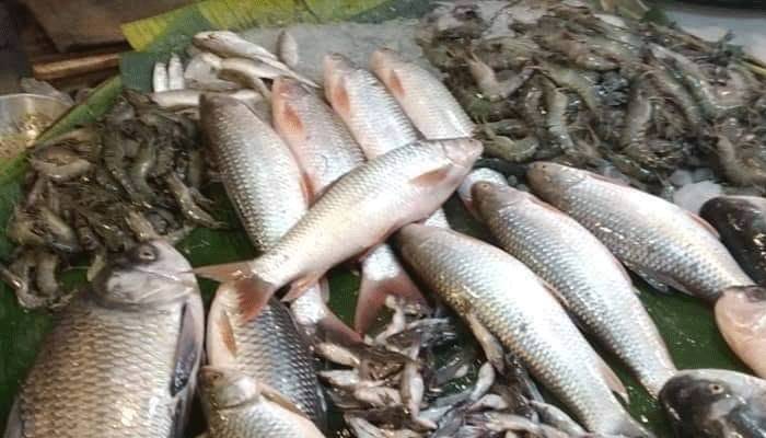 প্রাণিসম্পদ মন্ত্রণালয়ের ভ্রাম্যমাণ বিক্রয়কেন্দ্রে ব্যাপক সাড়া