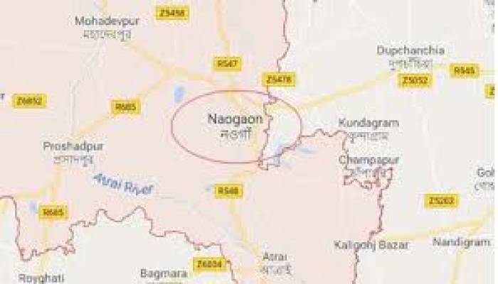 নওগাঁয় ট্রাকচাপায় দুই ভাই নিহত
