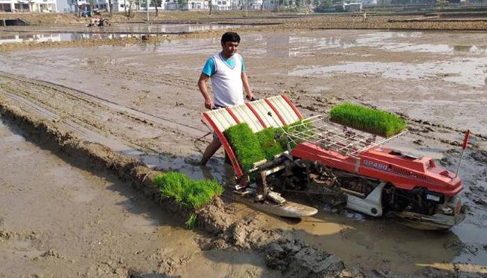 রংপুরে ধানের চারা রোপণে যন্ত্রের ব্যবহার