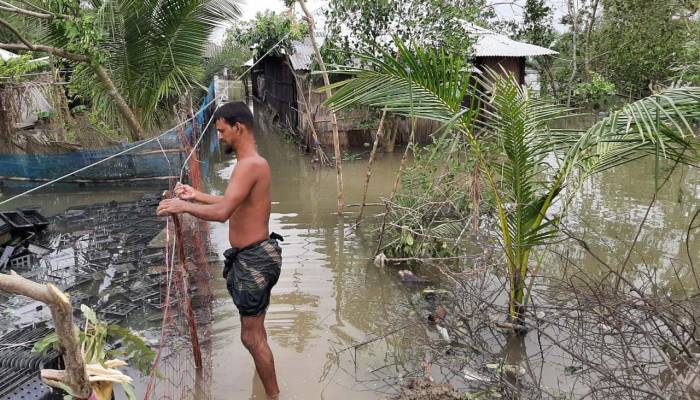 সাতক্ষীরায় বাঁধের ২৫ স্থানে ফাটল, ভেসে গেছে ২ হাজার চিংড়ি ঘের