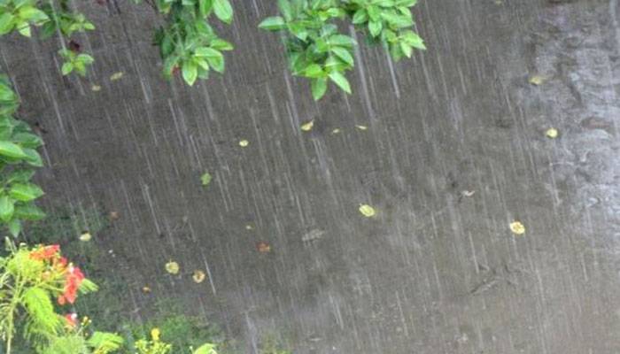বৃষ্টি হতে পারে