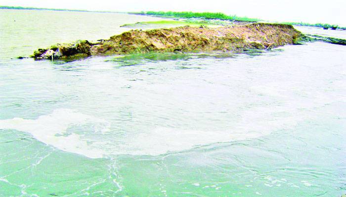 বেড়িবাঁধ সংস্কারের এত টাকা যায় কোথায়