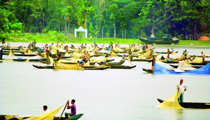 সুদিন ফিরছে হালদার