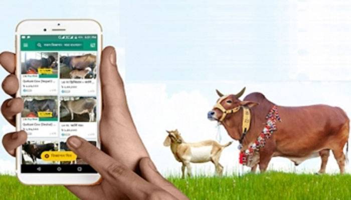 অনলাইনে কোরবানির হাটের প্রস্তুতি