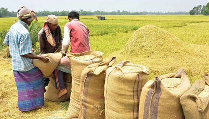 নতুন ধান ওঠার পরও দাম বাড়ল চালের