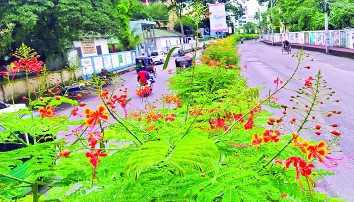 প্রকৃতিকে সময় দিন