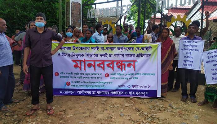 কমলগঞ্জে চা বাগান খুলে দেওয়ার দাবিতে মানববন্ধন