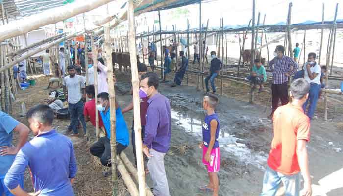 শেষ সময়ে হাটে কোরবানির পশুর সংকট