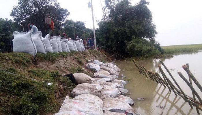রাজবাড়ীতে বেড়িবাঁধে ফুটো, আতঙ্কে এলাকাবাসী