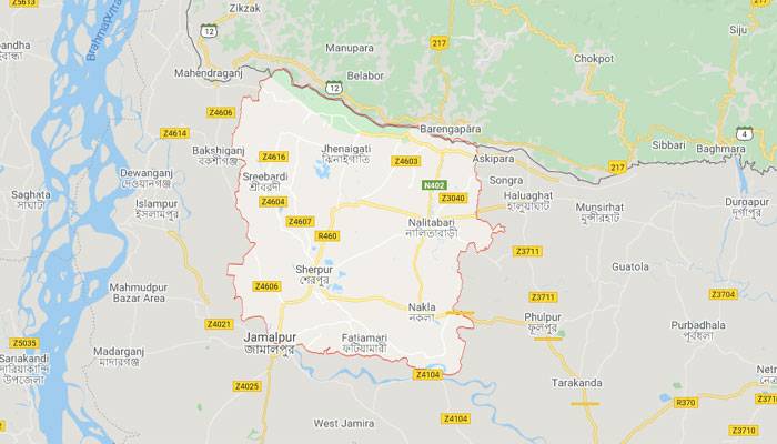 শেরপুরে পৃথক দুর্ঘটনায় দুই শিশুর মৃত্যু