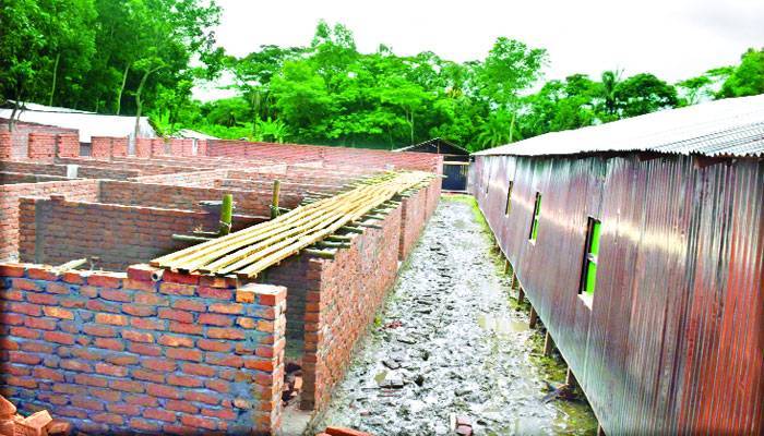 ফসলি জমিতে 'মতলবের' ঘর