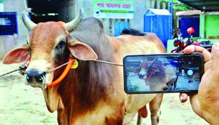১০ শতাংশ পশুও ওঠেনি হাটে