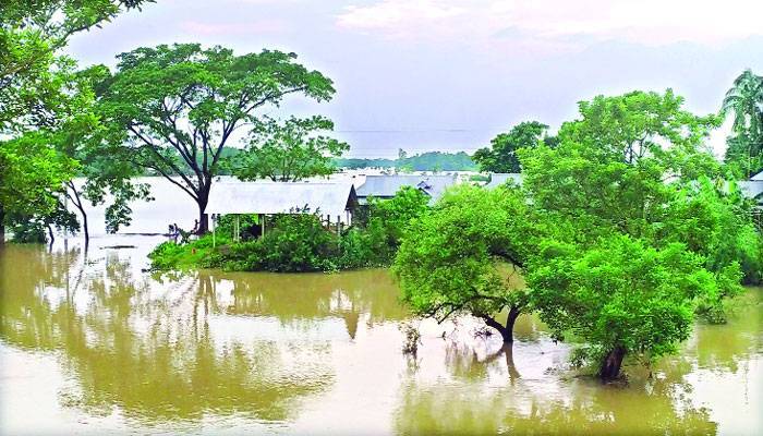 বানভাসি মানুষ নদীভাঙনে দিশেহারা