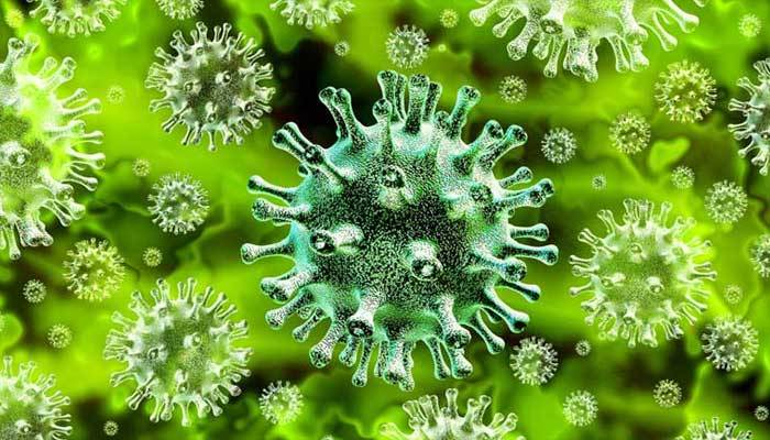 শৈলকুপায় এনজিও কর্মীসহ আরও ৩ জনের করোনা শনাক্ত