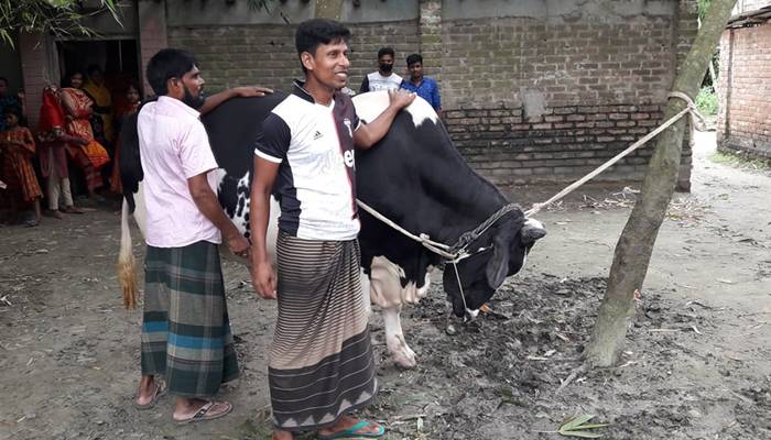 ‌'ক্যাপ্টেন' এর ওজন ২৫ মণ, দাম চান ১০ লাখ