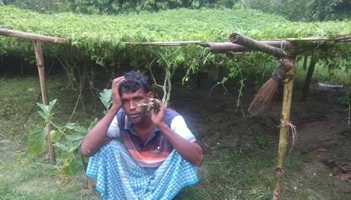 কৃষকের সঙ্গে এ কেমন নিষ্ঠুরতা!