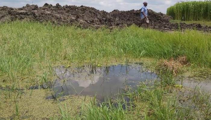 হরিনাকুণ্ডুতে পানির নিচে ৩ হাজার বিঘা ফসলি জমি
