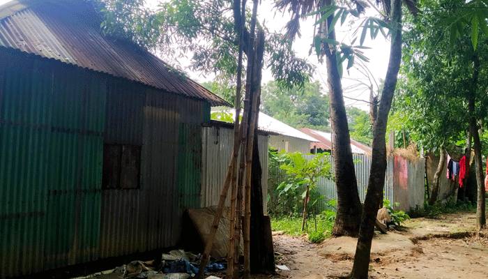 খাস জমি বিক্রি করে বললেন, আমার জমি আমি বিক্রি করছি কার কী সমস্যা!
