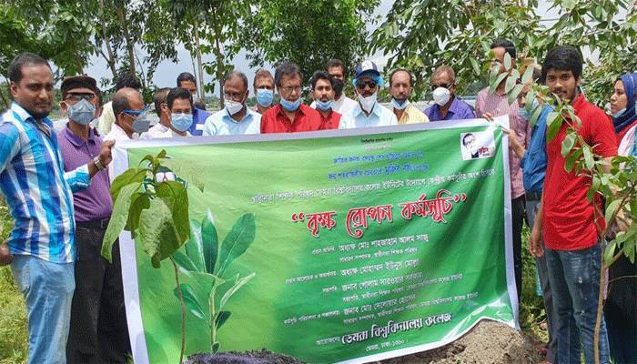 মুজিব জন্মশত বর্ষ উপলক্ষে স্বাশিপের বৃক্ষরোপন কর্মসূচি