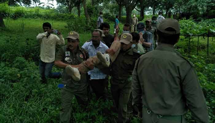সাভারে ভূমিদস্যুদের হামলায় বন কর্মকর্তাসহ আহত ৫