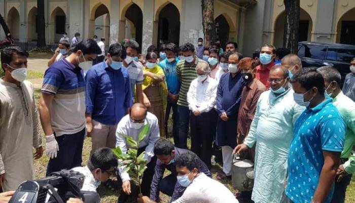 মুজিববর্ষ উপলক্ষে ঢাবিতে বৃক্ষরোপণ কর্মসূচির উদ্বোধন