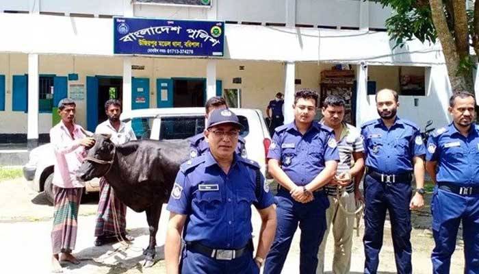 বরিশালে গরু চুরি করে প্রাইভেটকারে পালানোর সময় চোর আটক