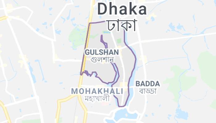 গুলশানের বাসায় গৃহকর্মীর ঝুলন্ত লাশ
