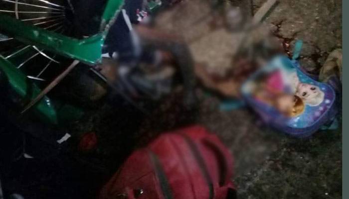 বাসচাপায় প্রাণ গেল অটোরিকশার ৬ যাত্রীর