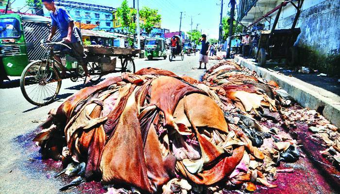 লবণযুক্ত চামড়ার বেচাকেনা শুরু