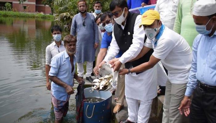 লালমোহনে মাছের পোনা অবমুক্ত করলেন এমপি শাওন