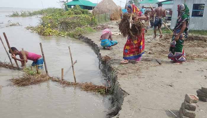 গাইবান্ধায় বসতবাড়ি বিলীন হচ্ছে নদীগর্ভে