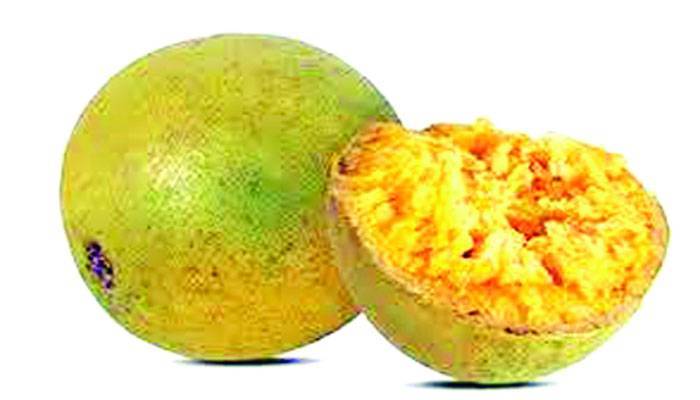 রোগ প্রতিরোধ করবে বেল