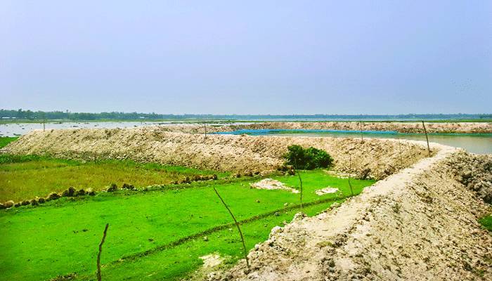 বিলের দুই পাড় গিলে খাচ্ছে ভূমিদস্যুরা