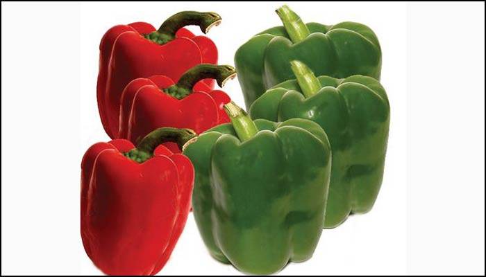 লাল না সবুজ- কোন ক্যাপসিকাম খাবেন?