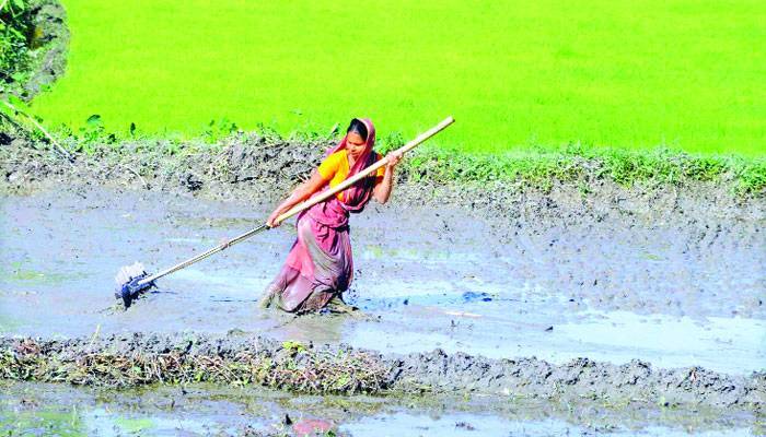 গ্রামীণ নারীর দিনভর কাজ, নেই মূল্যায়ন