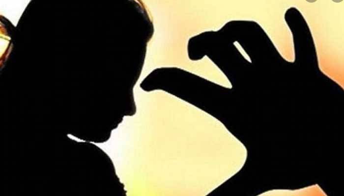 নারীকে বিবস্ত্র করে নির্যাতন: আরও ২ আসামির দোষ স্বীকার