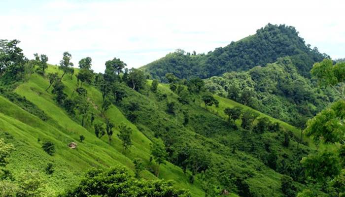 বিনোদন পার্ক, বিশিষ্ট নাগরিকদের বিবৃতি এবং বাস্তবতা