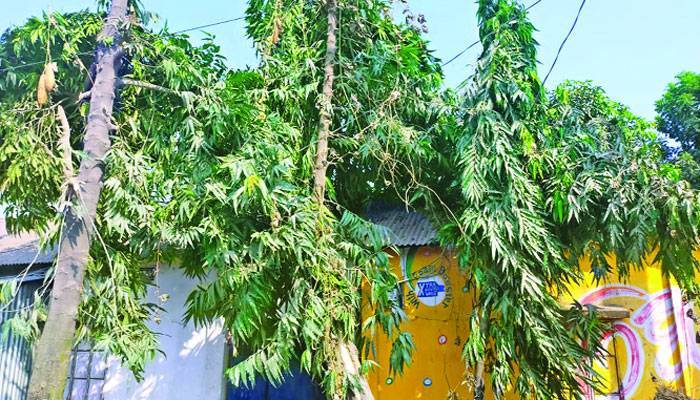 অসচ্ছল তালিকায় সচ্ছলরাও!