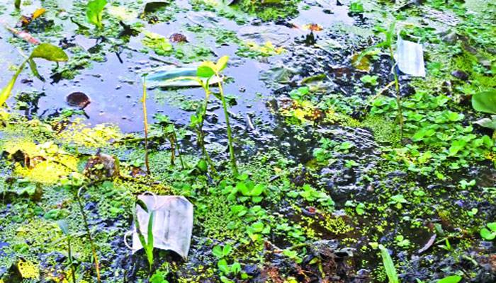 হুমকিতে পরিযায়ী পাখিও
