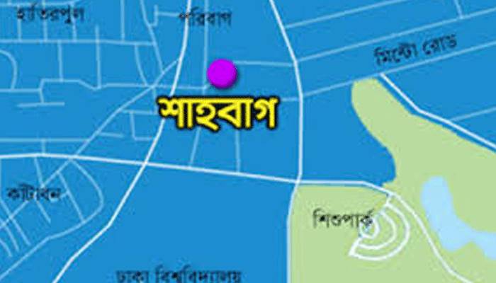 শাহবাগ এলাকার ফুটপাতে দুই ব্যক্তির লাশ