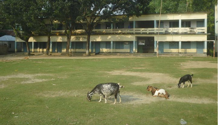 ছাগলকে পাতা খাওয়ানোর জন্য গাছে উঠে প্রাণ গেল দপ্তরির