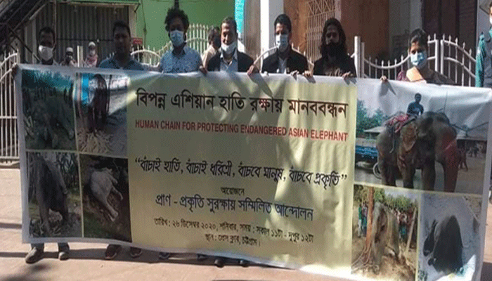 এক বছরে ২২ বন্যহাতির মৃত্যু, অধিকাংশই হত্যা